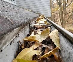 Gutter Cleaning service in Lancaster PA - Maintenance by Rhynobi Pressure Washing