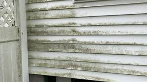 Mold/Mildew Treatment service in Lancaster PA - Additional Services by Rhynobi Pressure Washing